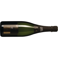 Duc de Foix Cava Semi Seco