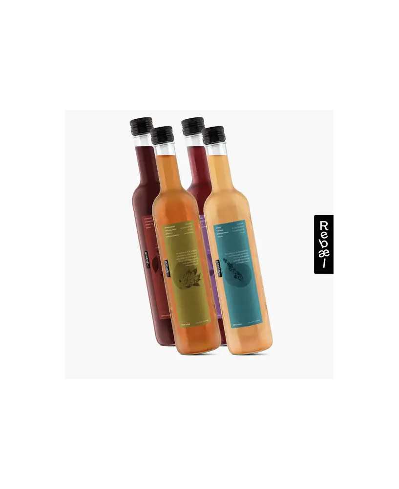 Rebæl Gastrosaft Smagspakke 0 % alc. Rebæl Gastrosaft Smagspakke 0 % alc.