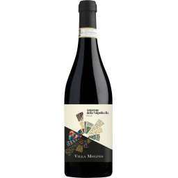 Amarone della Valpolicella DOCG 2019 - Villa Molino