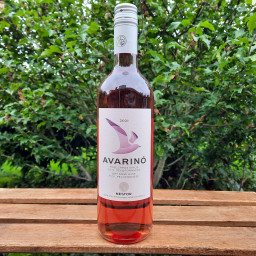 Avarino Nestor Rosé 2024 udenfor