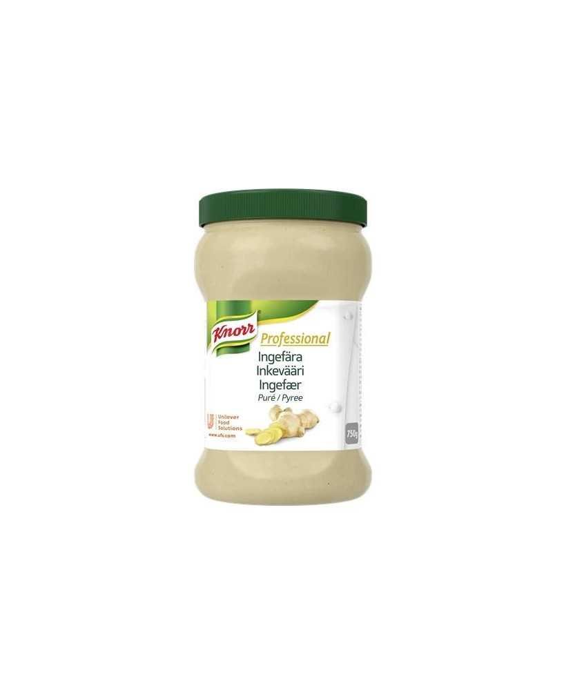 Knorr Krydderipuré med Ingefær 750g